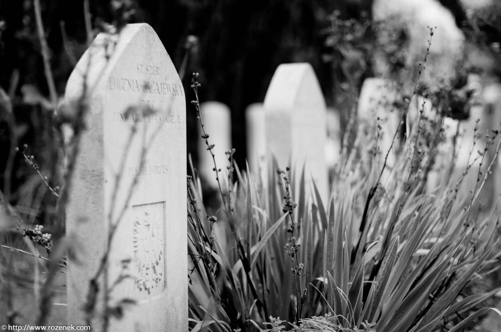 2012.10.13 - Catholic Catherdal and Cemetery - 18