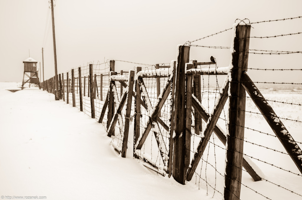 2012.12.16 - Majdanek - 09