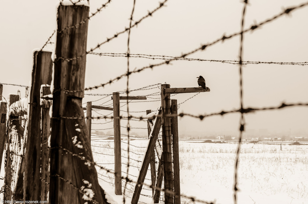 2012.12.16 - Majdanek - 10