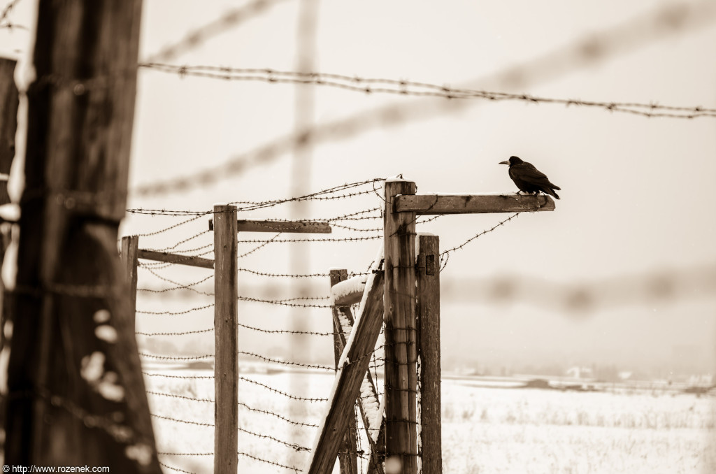 2012.12.16 - Majdanek - 11