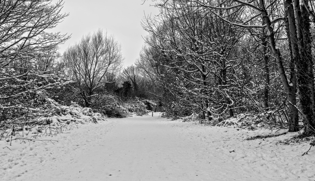 2013.01.20 - Winter in Norwich - HDR-01
