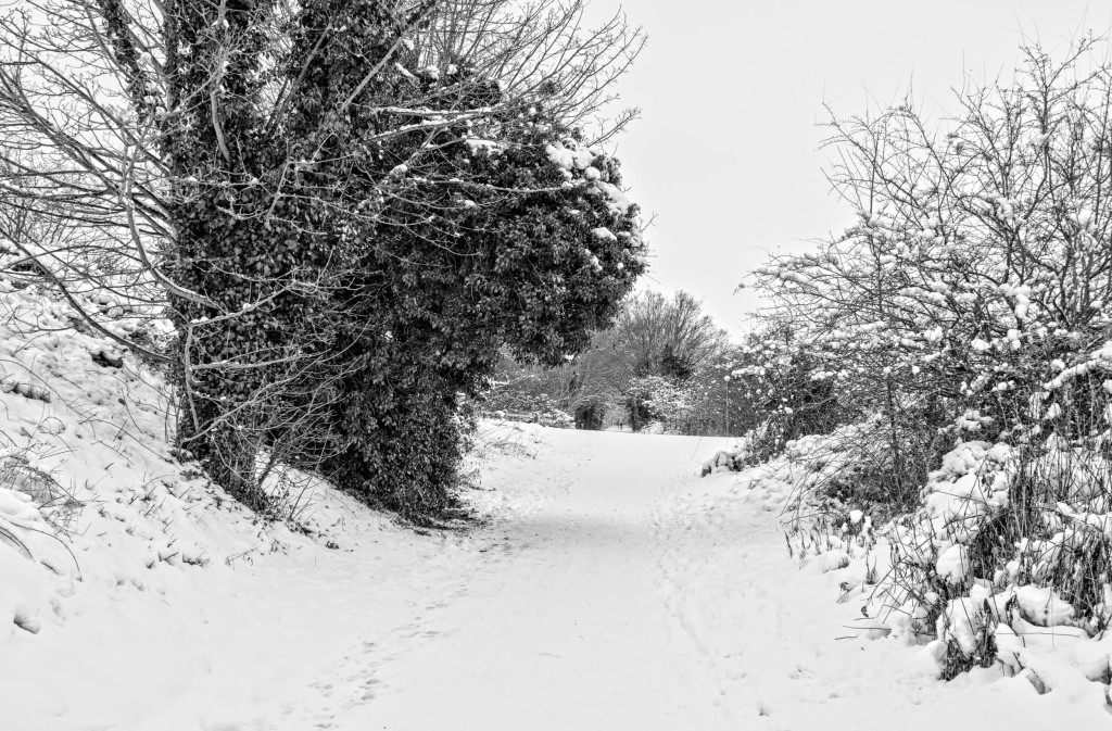 2013.01.20 - Winter in Norwich - HDR-05