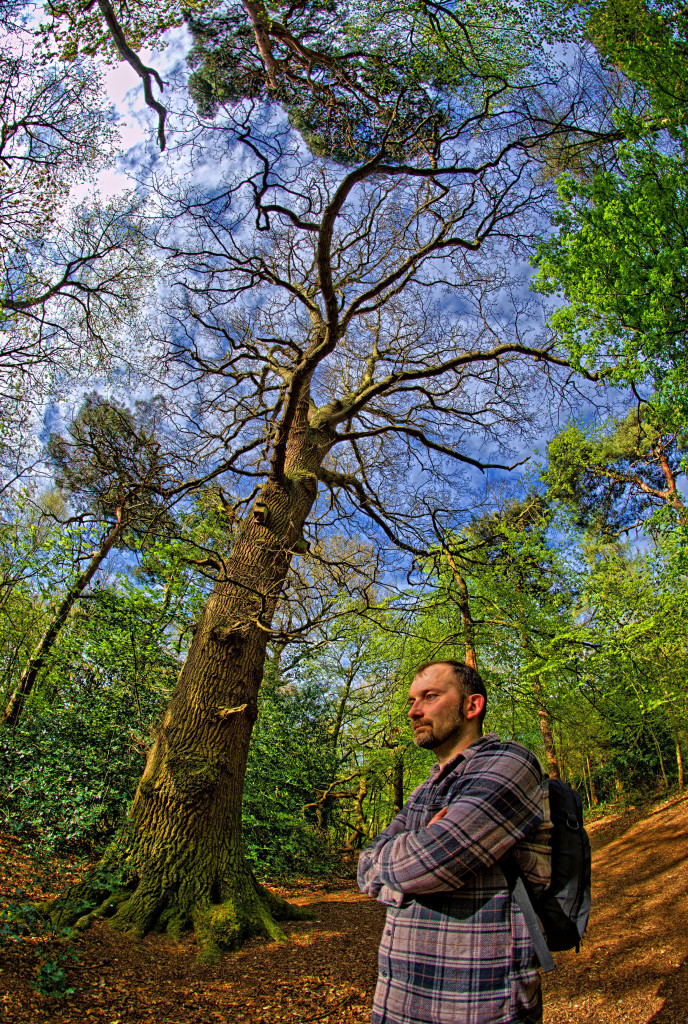 2013.05.04 - Lion Wood Norwich - HDR-08