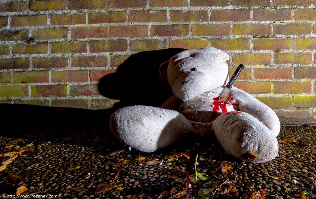 2013.11.23 - Teddy - 14
