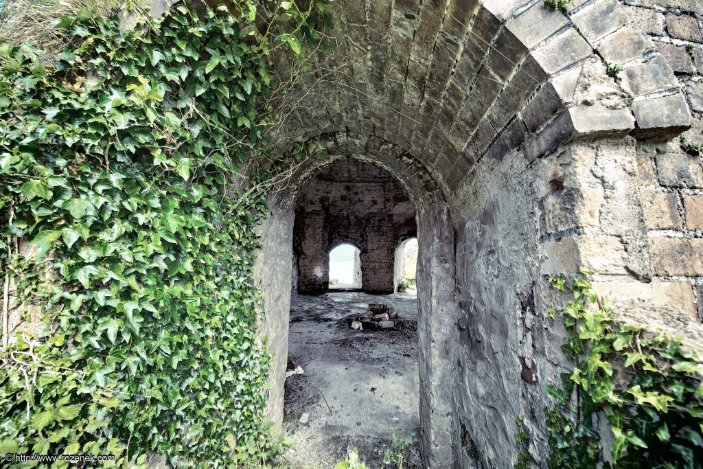 2014.07.03 - The Old Brickworks, Porth Wen, Bull Bay - HDR-15