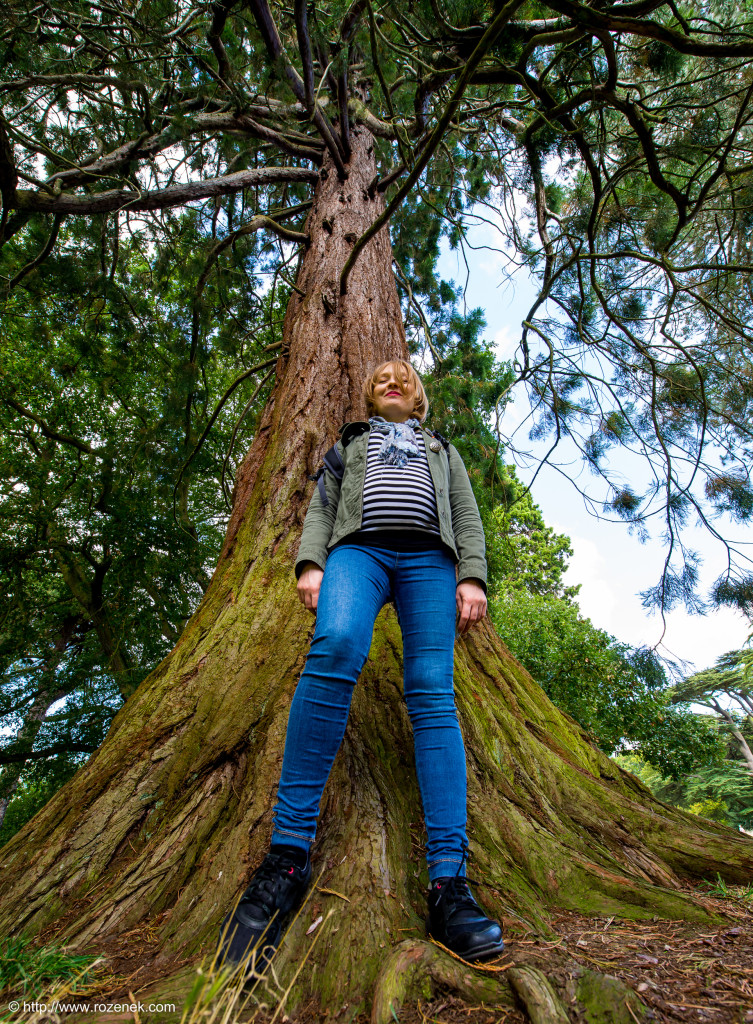 2014.08.31 - Ickworth House  - 16