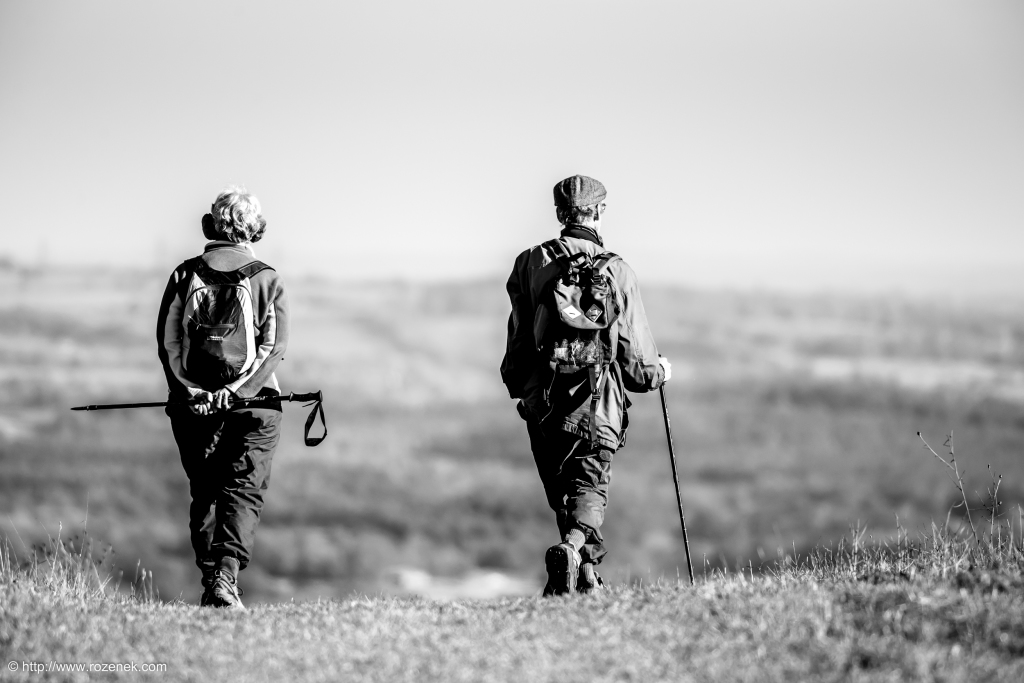 2014.11.09 - South Downs Way - 03