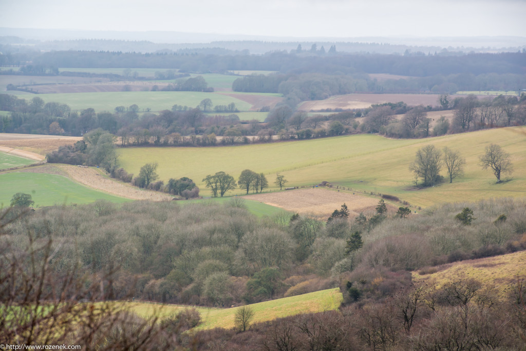 2015.02.28 - Old Winchester Hill - 15