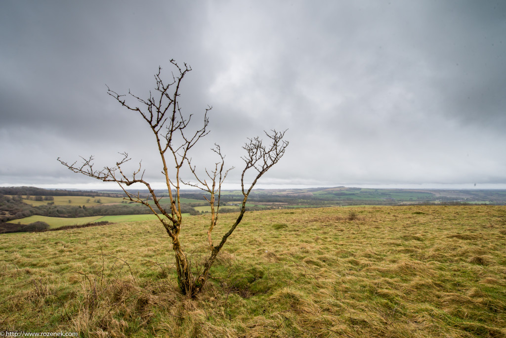 2015.02.28 - Old Winchester Hill - 30