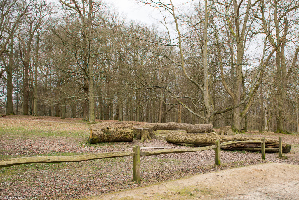 2015.03.21 - Petworth Park (Deers) - 01